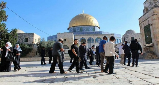 عشرات المستوطنين اليهود يجددون اقتحاماتهم للمسجد الأقصى
