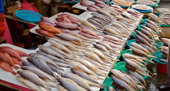 تعليمات لبائعي السمك بوضع لوحات عليها الأسعار والأنواع