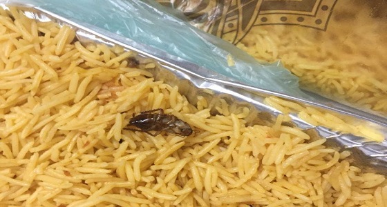 وجبة بـ ” الصراصير ” في بخاري بالمظيلف