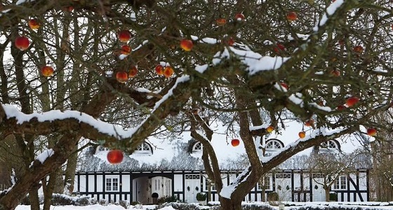 بالصور.. فنادق تحتاج زيارتها لمزيد من الاستجمام والرومانسية