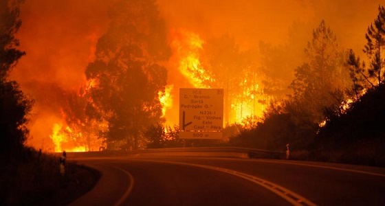 ” توماس ” ثالث أكبر حريق تشهده كاليفورنيا في تاريخها