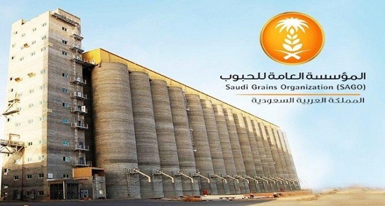 ” الحبوب ” تنتهي من ترسية الدفعة الخامسة من القمح المستورد هذا العام