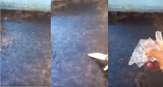 بالفيديو .. لحظة تجمد مياه &#8221; وادي يعوض &#8221; بعسير