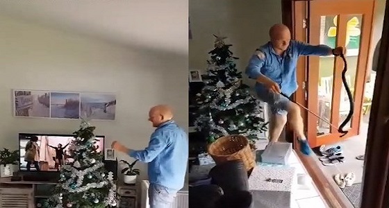 بالفيديو.. ثعبان ضخم يثير ذعر أسرة باختباءه داخل شجرة كريسماس