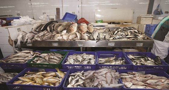 بلدية القطيف تشكل لجنة لضبط العمالة المخالفة في سوق الأسماك