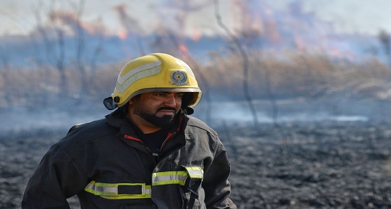 بالصور.. مدني حائل يخمد حريق بحشائش في وادي الأديرع