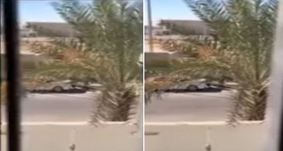 فيديو.. رد فعل عمالة باكستانية على مواطن طلب منهم قطع شجرة من الطريق العام