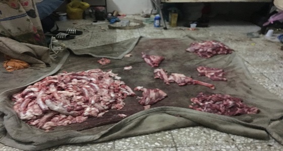 بالصور.. أمانة المدينة تضبط مسلخ يبيع اللحوم للعمالة الوافدة