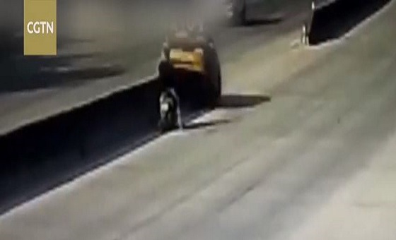 بالفيديو.. سائق دراجة نارية ينجو من الدهس قبل لحظات من تحطمها