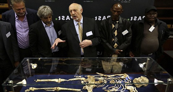 عمره 3.6 مليون سنة.. جنوب أفريقيا تكتشف هيكل عظمي بشري متكامل (صور)