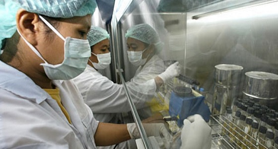 مصرع 11 شخصا جراء إنفلونزا الخنازير في تونس