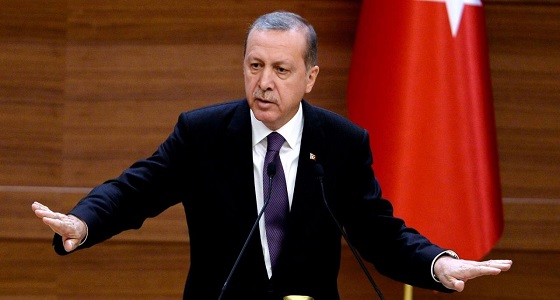 الرئيس التركي يلتقي نظيره الروسي