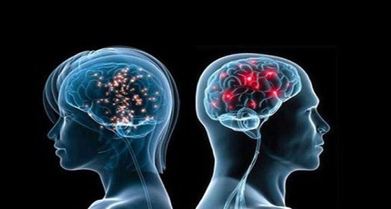 باحثون فرنسيون: مخ المرأة يظل يعمل ولا يخلد للراحة مثل الرجل