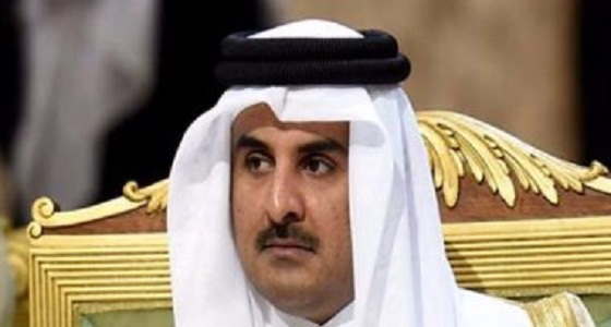 قطر تستورد 4 آلاف بقرة لمواجهة العجز الاقتصادي والنتيجة صادمة