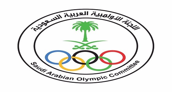 ” آل الشيخ ” يقبل استقالة رئيس اتحاد الرياضات الجوية ويعفي نائبه