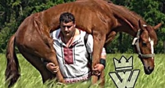 فيديو صادم لرجل يحمل حصانا على ظهره