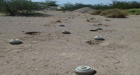 الجيش اليمني يفكك 3 حقول ألغام بالخوخة