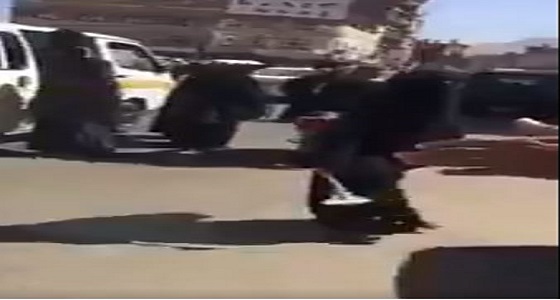 بالفيديو.. نساء الحوثية تعتدين بالفأس على امرأة تصور الشارع