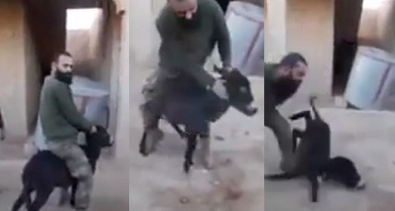 بالفيديو.. ضابط سوري يعذب &#8221; جحشا &#8221; بطريقة وحشية