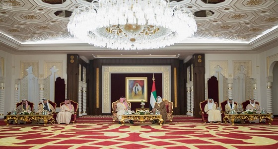 وزير الداخلية يلتقي نائب رئيس مجلس الوزراء وزير شؤون الرئاسة بالإمارات