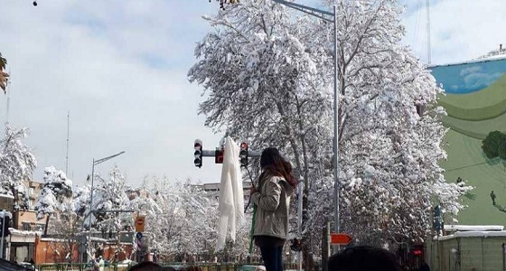للمرة الثانية.. إيرانية تخلع حجابها وسط طهران
