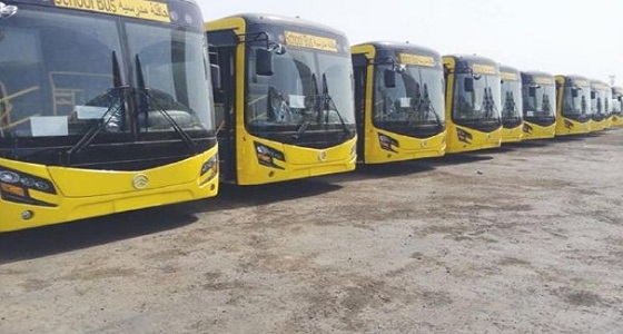 6 جهات حكومية ترصد اشتراطات السلامة في حافلات نقل الطالبات والمعلمات