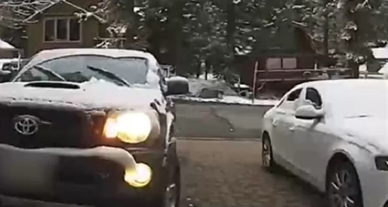 بالفيديو.. رد فعل صادم لرجل عثر على دب في سيارته
