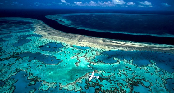أستراليا تطلق خطة بقيمة 60 مليون دولار لحماية الحاجز المرجاني العظيم