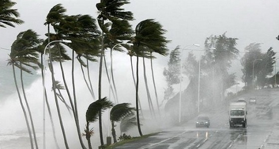 عاصفة شديدة تجتاح نيوزيلندا تؤدي لانقطاع الكهرباء عن آلاف المنازل