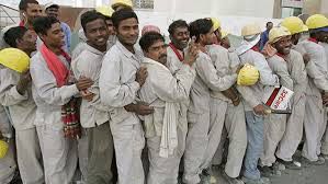 إحصائية تكشف نسبة العمالة الأجنبية في دول الخليج