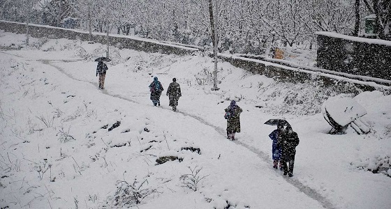 عاصفة شتوية تضرب مناطق عدة في اليابان