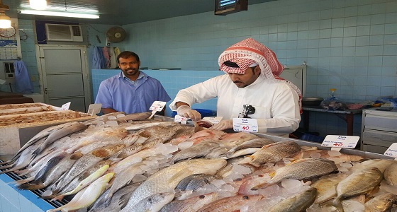 بالصور.. مصادرة كميات من الأسماك التالفة بالجبيل