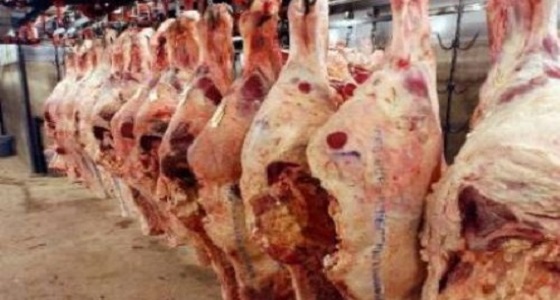 أمانة الشرقية تصادر لحوم مشتبه بها بالأسواق الغذائية