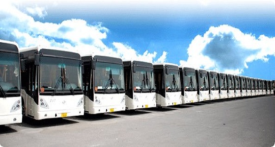 هيئة النقل: انطلاق مشروع الحافلات الجديد بعد 4 أشهر