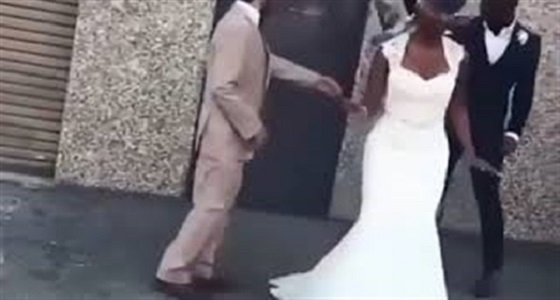 فيديو طريف لحمامة تهاجم عروس وتعرضها لموقف محرج