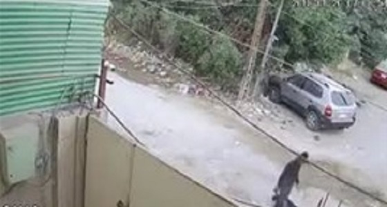 بالفيديو.. شاب يعتدي على عجوز في الشارع بطريقة بشعة