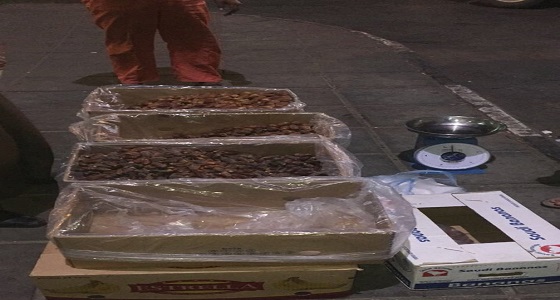 بالصور..ضبط عدد من الباعة الجائلين ومصادرة معروضاتهم بـ ” الخبر “