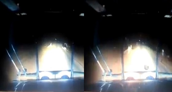 بالفيديو.. رد فعل صادم لسائق صدم ثلاث حيوانات كنغر