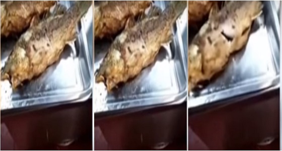 بالفيديو.. طهو سمكة &#8221; حية &#8221; في الصين