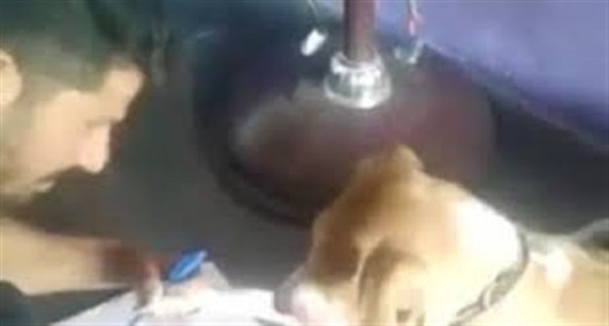 بالفيديو.. شاب يعتدي على كلب بالضرب المبرح لتعليمه الكتابة