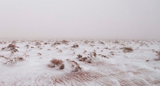 بالصور.. الصحف البريطانية مندهشة بثلوج &#8221; جبال اللوز &#8221; بالمملكة