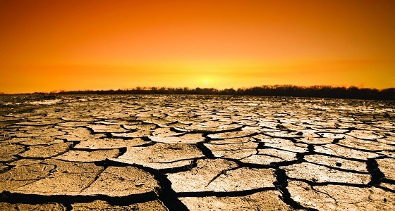 المسند: أكثر 17 سنة حر مرت على الأرض كانت بعد 2001