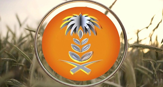 المؤسسة العامة للحبوب ترسي الدفعة السادسة من الشعير العلفي المستورد لهذا العام