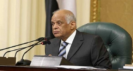 وفد من مجلس النواب المصري يصل الرياض