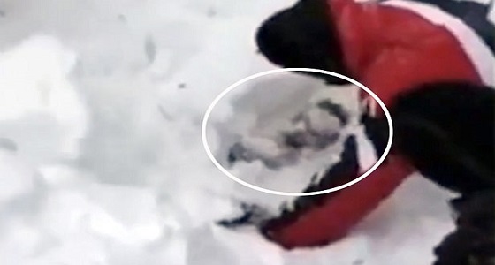 فيديو مؤثر للحظة انقاذ رجل دفن بالثلج إثر انهيار جليدي