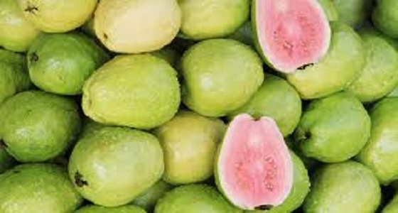 المملكة تحظر مؤقتا استيراد الجوافة المجمدة والمصنَّعة من مصر