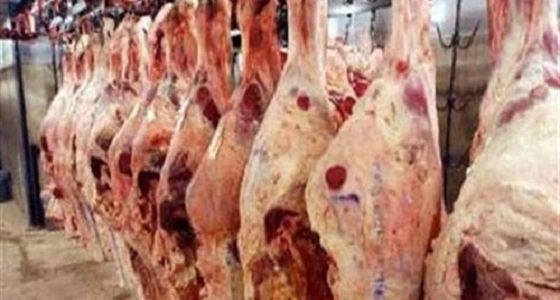 ضبط 21 كيلو من اللحوم الفاسدة بـ ” بقعاء “