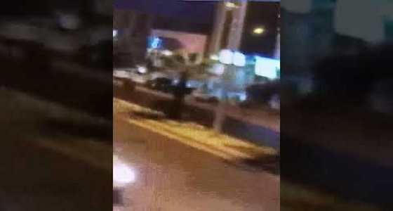 بالفيديو.. حيوانان بردف الطائف يربكان حركة المرور