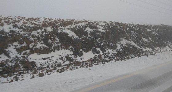 بالفيديو والصور.. الثلوج تغطي جبل اللوز بمنطقة تبوك