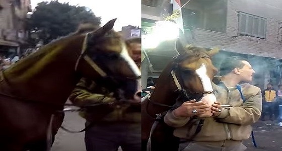 بالفيديو.. التحقيق في واقعة إجبار حصان علي تعاطي الحشيش